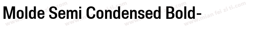 Molde Semi Condensed Bold字体转换